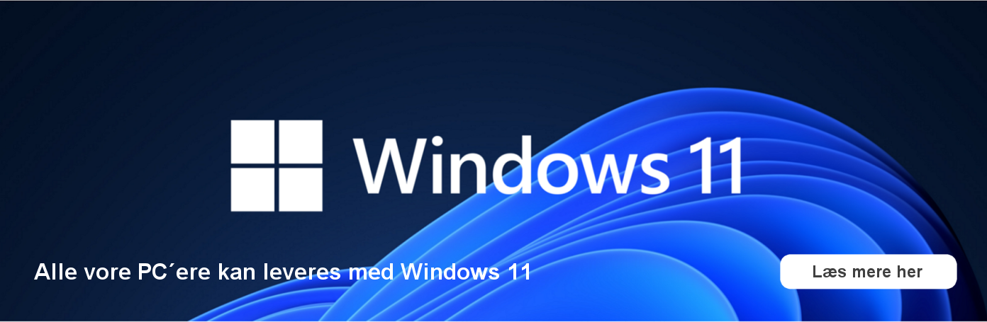 Windows 11